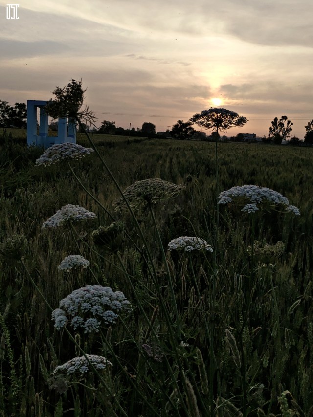 PicsArt_04-13-08.43.35