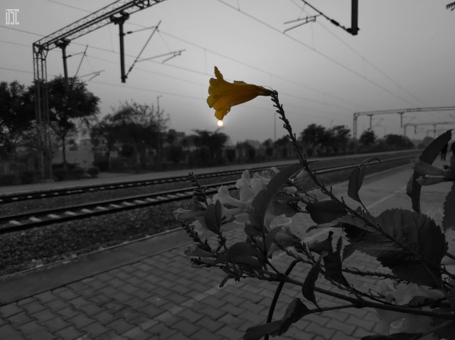 PicsArt_04-20-10.30.47