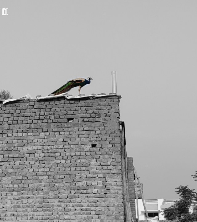 PicsArt_04-26-08.47.57